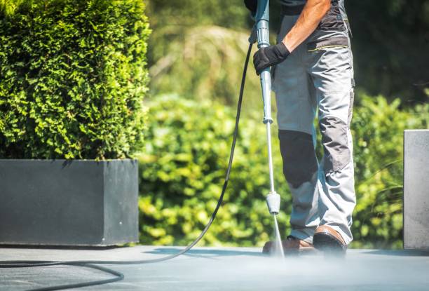 Boat and Dock Cleaning in Pughtown, PA